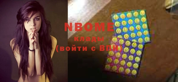 соль ск Пересвет