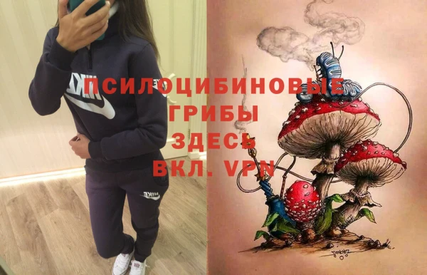 бутират Алексин