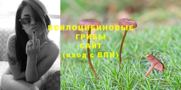 кокс Алзамай