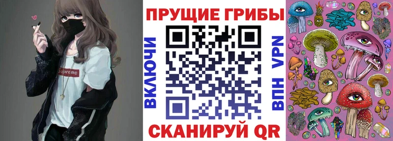 Псилоцибиновые грибы мухоморы цены МЕГА ссылка Петровск-Забайкальский